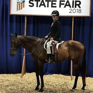 Meet your Posher, Marissa